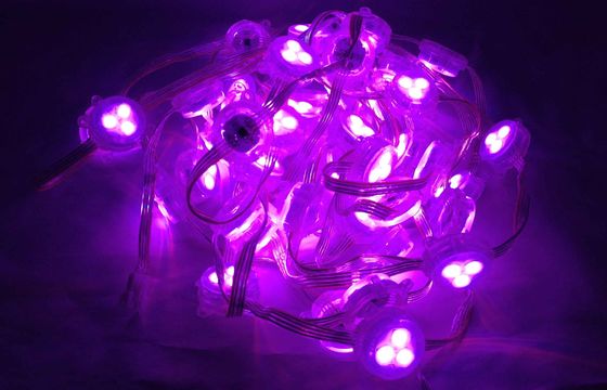 Red Green Blue Led Rgb Pixel Color Temperature DC12V 1W Fairy Light Curtain