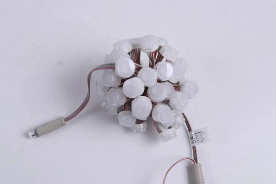 20mm Miracle Bean Waterproof LED Point Light 0.3W With 2 Years' Warranty