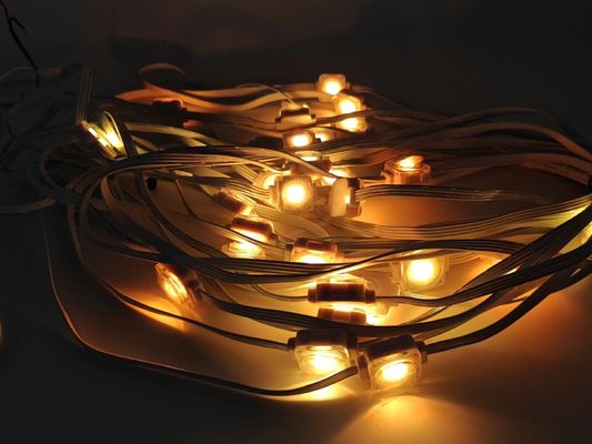 24V String Point Smart Eaves Lighting Holiday Ambilight 100ft RGBIC LED Permanent Eaves Light