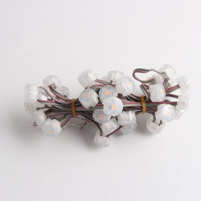 Waterproof Outdoor  PC Body 1W Epistar Chip 20mm RGB LED Point Light