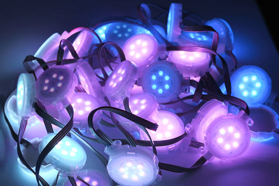 Waterproof SMD 5050 DC 24v Flexible Lighting LED Strip For Outdoor Festival Decoration