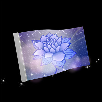 High Brightness Flexible Color LED Point Light Source LED Transparent Screen