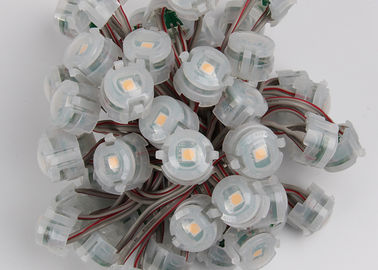 आउटडोर DC12V 20 मिमी एसएमडी 5050 आईपी67 एलईडी पिक्सेल क्रिसमस लाइट्स 2000 एमसीडी