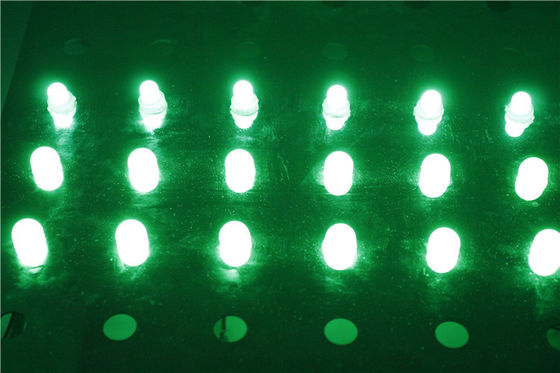 12MM LED Christmas Holiday Single Color LED Pixel Point Light