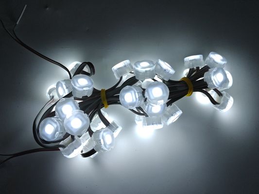 Customization IP67 20mm Waterproof Smart RGBW SPI LED Under Roof Permanent Eave Lights App Control Remote Pixel Point Lights