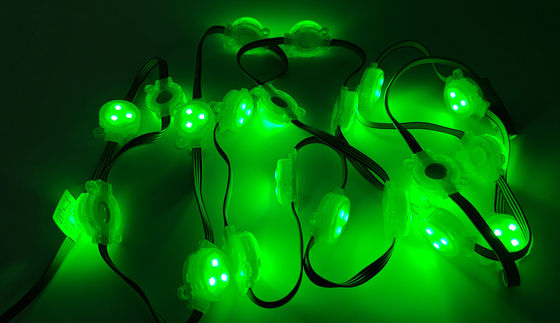 Christmas Color Monochrome Outdoor Decoration Lamp with 120 Degrees Beam Angle and IP67 Waterproof