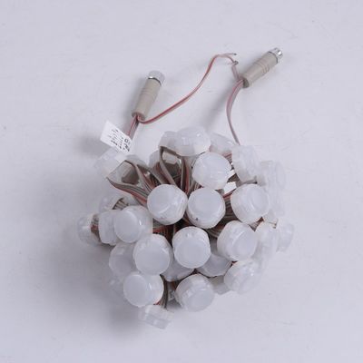 Christmas Color Monochrome Outdoor Decoration Lamp with 120 Degrees Beam Angle and IP67 Waterproof