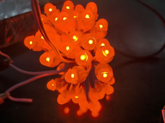बाहरी सजावट के लिए एक्रिलिक एलईडी बैकलाइट RGBIC DC5V जेलीफिश क्रिसमस रोशनी