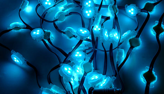 Flexible LED Strip Light Waterproof IP67 RGB 24v High Density Dotless Home Decoration