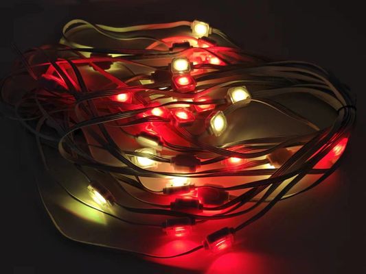 24V Waterproof Rgbw Light LED String Point Eaves Light for Christmas Holiday Decoration CE Certified