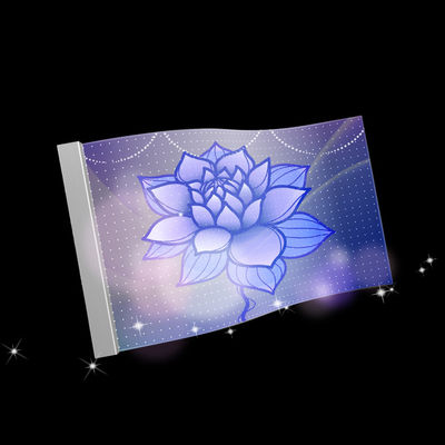 Customizable OLED Transparent Advertising Screen P16 DC5V 16bit WE2121 RGB LED for Indoor