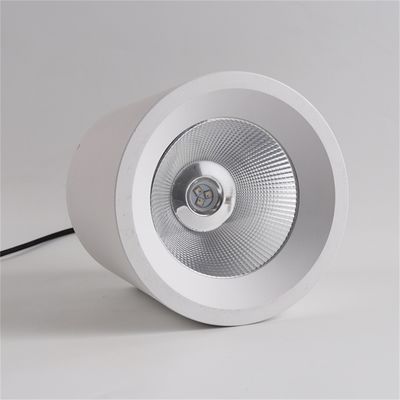 12w कोब एलईडी डाउनलाइट रिसेस्ड एडजस्टेबल कस्टमाइज 400LM SPI USC2904 एलईडी वाणिज्यिक प्रकाश व्यवस्था