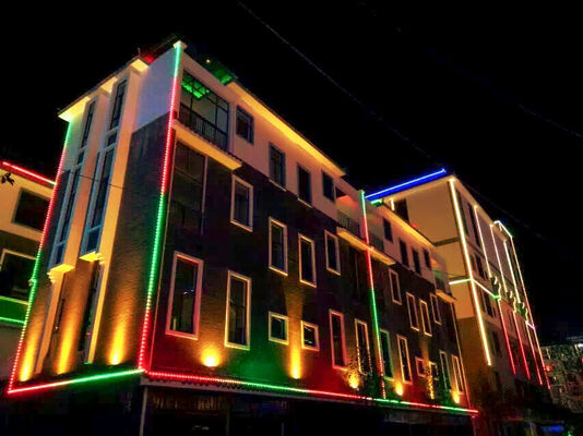 स्मार्ट वाईफाई कंट्रोलर वाटरप्रूफ IP67 RGBW 12V 30mm आउटडोर एलईडी स्ट्रिप आउटसाइड प्रोग्रामेबल डेकोरेटिव लाइट लैंडस्केप लैंप