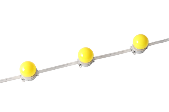 आउटडोर आर्किटेक्चरल लाइटिंग के लिए 40mm IP67 वॉटरप्रूफ DC 24V LED ग्लोब लाइट