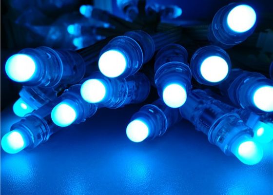 चमत्कार बीन 12 मिमी आरजीबी पता WS2811 1903 क्रिसमस पूर्ण रंग RGB F8 12mm 5V 12V कारखाने से एलईडी पिक्सेल लाइट