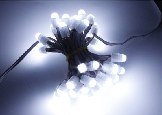 चमत्कार बीन 0.2w 16lm एलईडी प्वाइंट पिक्सेल लाइट 9 मिमी 12 v IP67
